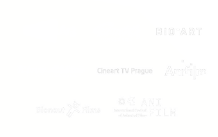 Cinemart, Evald, BIOART, Kino Atlas, Cinemart TV Prague, Anifilm, Bionaut Films